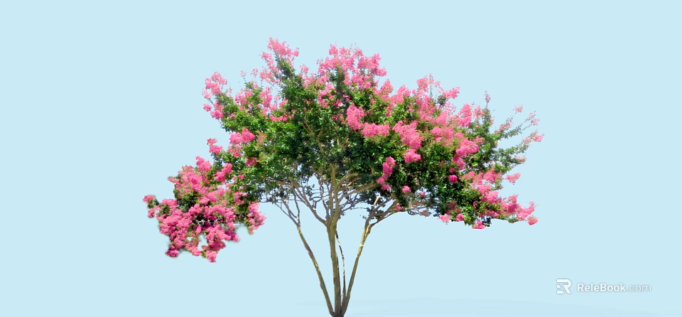Flowering Arbor With Pink Blossoms And Green Leaves Against Blue Sky 3d model 