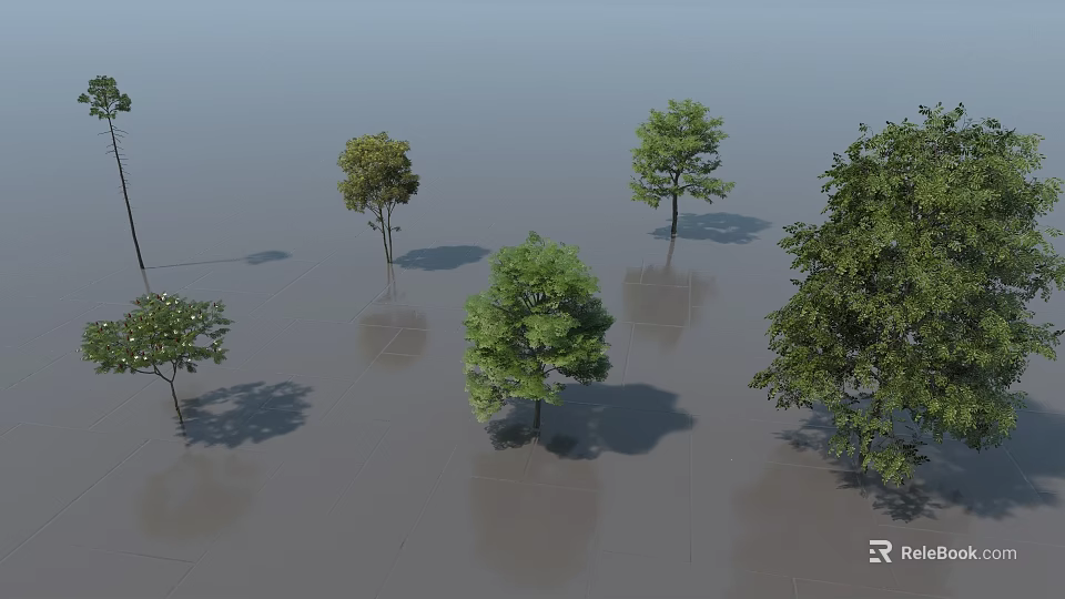 Various Types Of Arbor Trees With Different Sizes And Green Foliage On Shaded Ground 3d model 