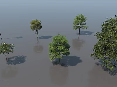 Various Types Of Arbor Trees With Different Sizes And Green Foliage On Shaded Ground 3d model