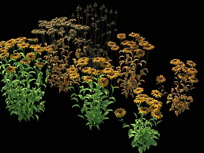 Mixed Assorted Flowers With Yellow Blooms Green Leaves And Brown Foliage On Black Background 3d model
