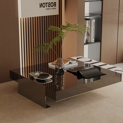 Modern Sofa Coffee Table Set with Black Glass Top Green Plant and Magazines 3d model
