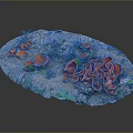 Vibrant Red Mushrooms And Green Grass Growing On Natural Rock Surface