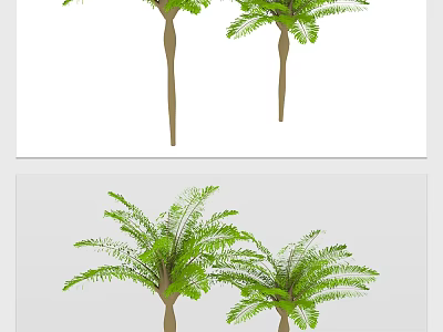 Tall Green Tree with Dense Feathery Leaves and Brown Trunk in Garden 3d model