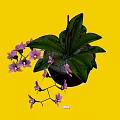 Bonsai Potted Plant With Vibrant Purple Flowers And Lush Green Leaves