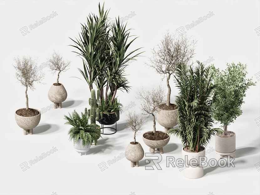 green plant potted plant combination green plant potted plant model