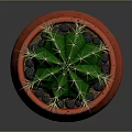 Green Cactus Plant With Yellow Spines In Red Spotted Three Legged Pot