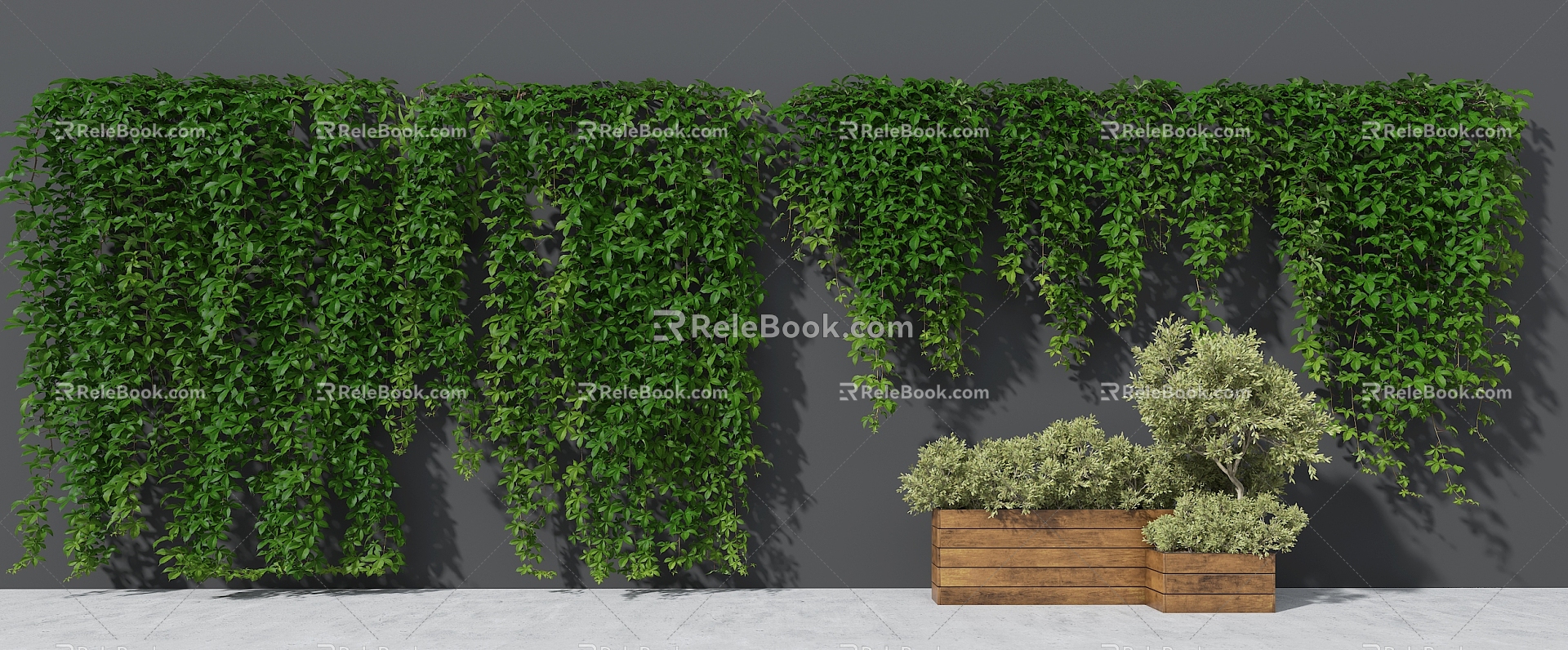 Modern Vine Wall Man Climbing Wall Plant Parthenocissus Wall Botanical Garden Ground Flower Pond Plant Flower Box 3d model