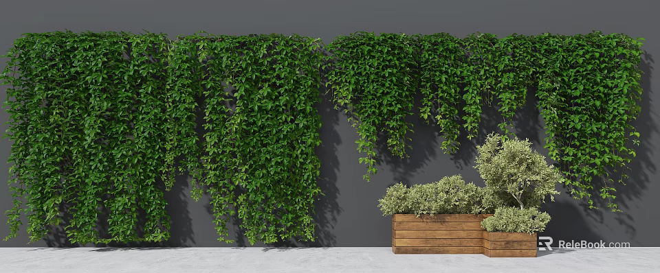 Lush Green Vines Covering Gray Wall with Wooden Planter Box and Small Green Plants 3d model 