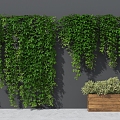 Modern Vine Wall Man Climbing Wall Plant Parthenocissus Wall Botanical Garden Ground Flower Pond Plant Flower Box 3d model