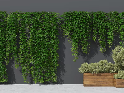Lush Green Vines Covering Gray Wall with Wooden Planter Box and Small Green Plants 3d model