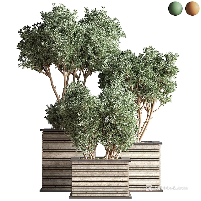 Lush Green Bonsai Potted Plants With Brown Trunks In Striped Planters 3d model 