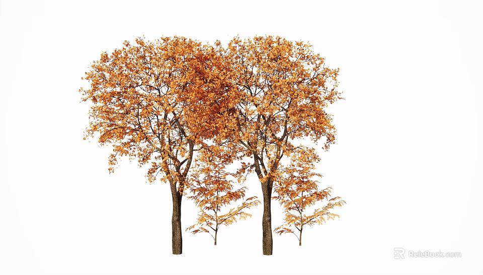 Autumn Arbor Trees With Vibrant Orange Foliage And Tall Trunks 3d model 