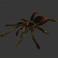 Realistic 3D Rendered Spider With Red Glowing Eyes And Long Legs