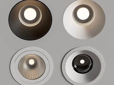 Various Downlights And Spotlights With Black Silver Round Design For Modern Indoor Lighting 3d model