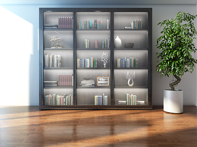 Modern bookcase model