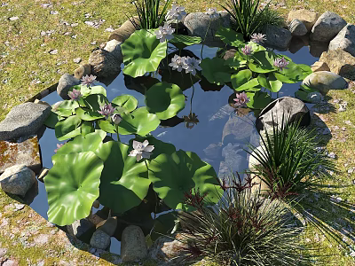 Rockery Stones Surrounding a Small Pond with Lotus Leaves and Flowers and Green Plants 3d model