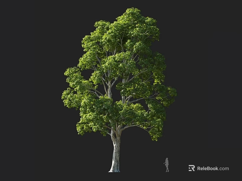 Tall Lush Arbor With Dense Green Foliage And Spreading Canopy In Natural Landscape 3d model 