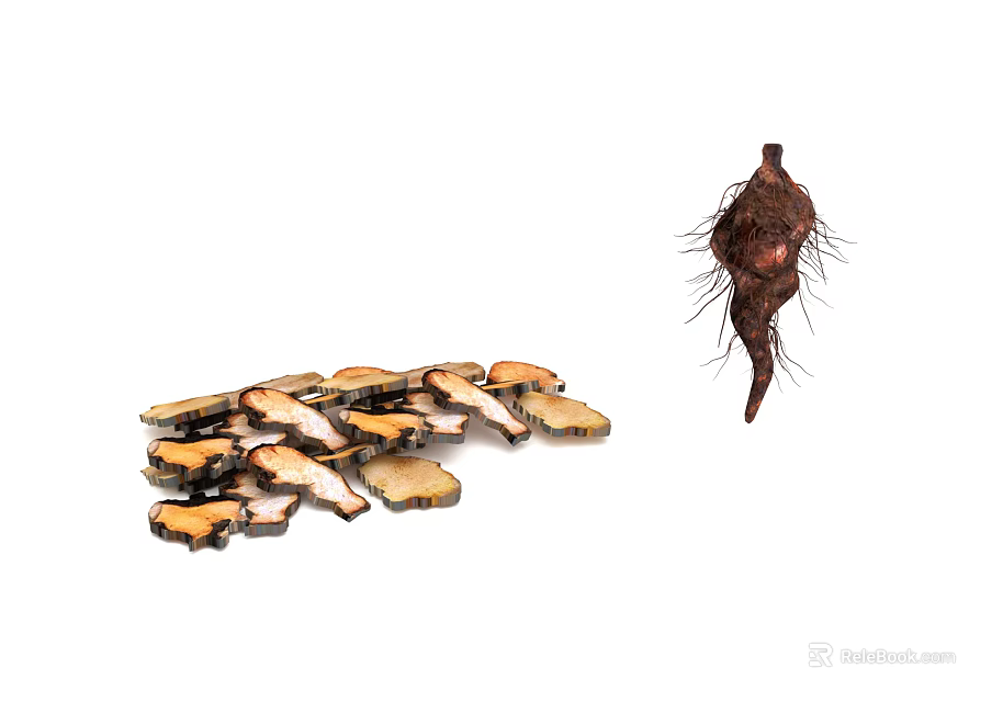 Natural Herb Root with Thorny Surface and Dried Sliced Pieces on White Background 3d model 