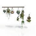 Decorative Hanging Planters With Trailing Vines And Various Styles Suspended On Wooden Rod