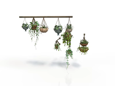 Decorative Hanging Planters With Trailing Vines And Various Styles Suspended On Wooden Rod 3d model