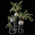 Stylish Potted Plants With Green Ferns Trailing Vines Gray Pots And Geometric Metal Stands