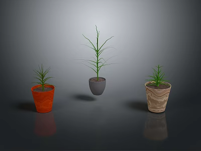 Three Green Potted Plants With Slender Leaves In Colorful Pots For Indoor Decor 3d model