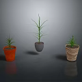Three Green Potted Plants With Slender Leaves In Colorful Pots For Indoor Decor