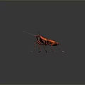 Detailed Shiny Red Insect With Long Antennae And Glossy Body On Dark Background