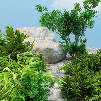 Lush Green Flowers and Plants Surrounding Large Natural Stone in Outdoor Setting 3d model