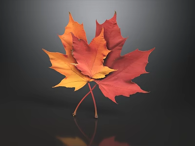 Modern Minimalist Sofa And Coffee Table Set With Beautiful Autumn Maple Leaf Living Room Decor 3d model