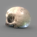 Realistic Human Skull 3D Render With Cracked Textured Surface And Light Tone