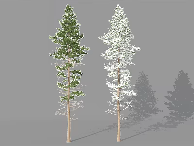 Green and White Arbor Trees with Shadows on Gray Background Scene 3d model