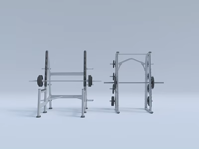 Professional Fitness Gym Equipment Set Including Squat Rack Bench Press And Weight Barbells 3d model