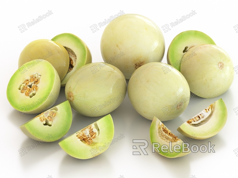 Honeydew melon melon melon brandy melon fruit model