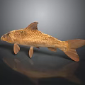 Realistic Golden Carp Fish With Shiny Scales And Reflection On Dark Background