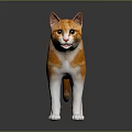 Orange and white cat standing on dark smooth surface with gray background 3d model