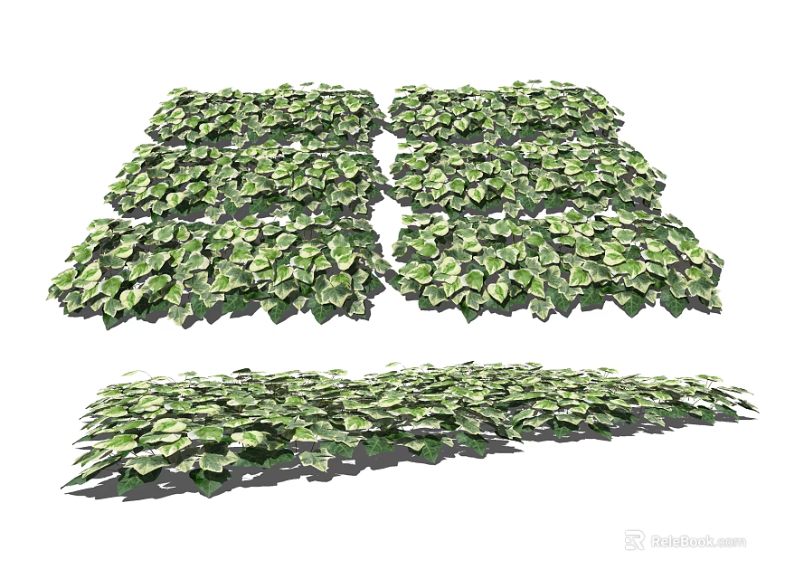 Lush Green Leafy Vines as Decorative Wall Covering for Landscape and Garden Design 3d model 