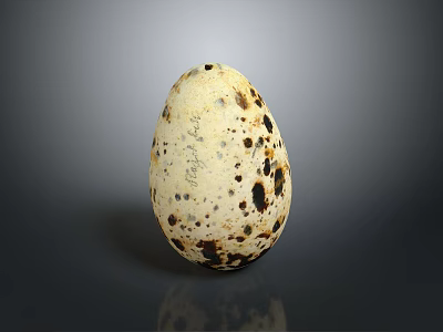 Quail Egg as Daily Essential with White and Black Spots on Grey Background 3d model