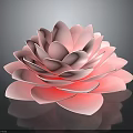 Beautiful Pink Lotus Flower With Soft Layered Petals On Dark Background