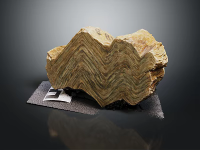Wooden Stone Exhibiting Wavy Layered Texture in Brown Yellow Color on Display Mat 3d model