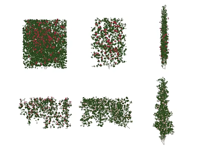 Green Climbing Vines With Red Flowers And Various Decorative Wall Forms 3d model