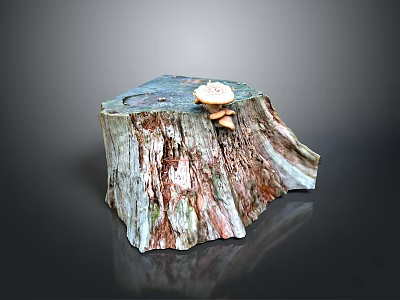 Natural Scene Of Weathered Tree Stump With Small Mushrooms Growing On Top 3d model