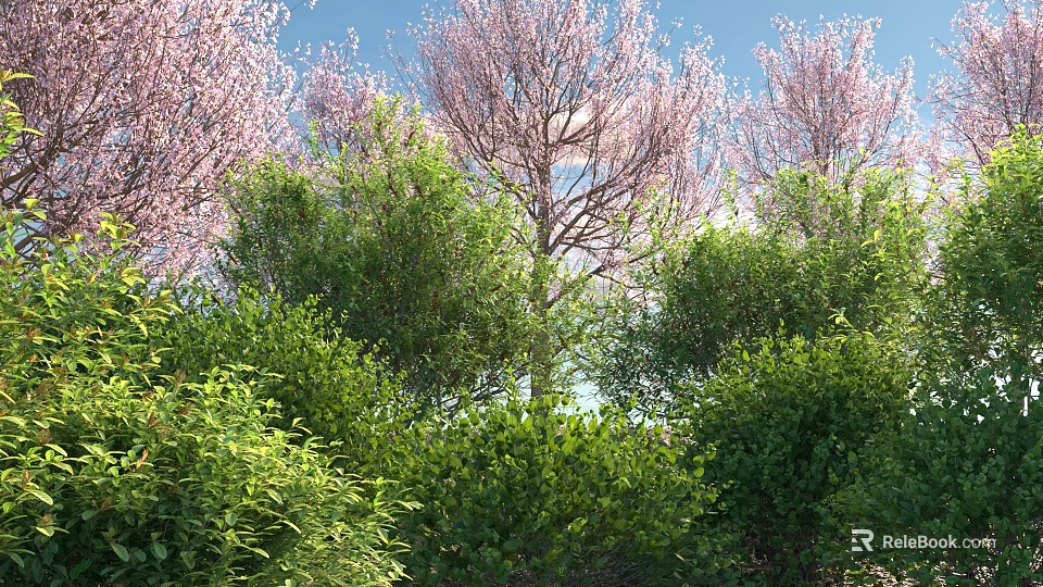 Lush Green Shrubs In Garden Landscape With Pink Flowering Trees And Blue Sky 3d model 