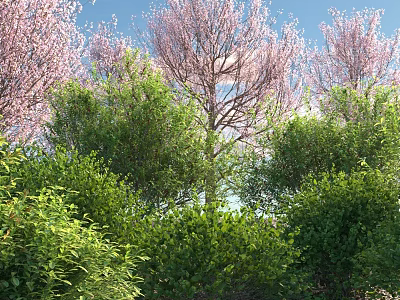 Lush Green Shrubs In Garden Landscape With Pink Flowering Trees And Blue Sky 3d model