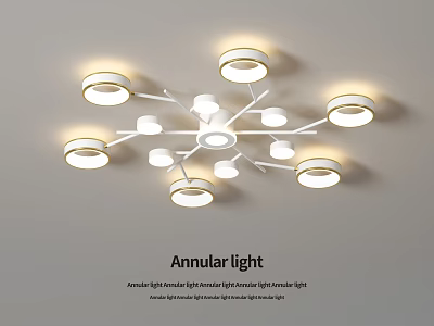 Modern Annular Ceiling Light With Stylish Multiple Rings Design For Home Interior 3d model