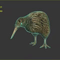 Kiwi Bird With Brown Feathers And Long Beak Standing On Gray Gradient Background With Reflection 3d model
