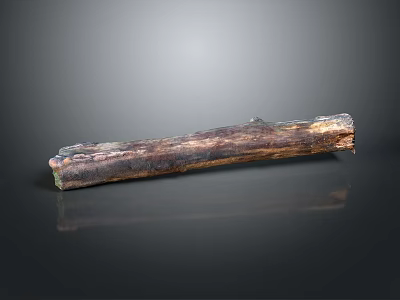 Natural Wooden Stone Log With Raw Organic Texture And Smooth Surface Material 3d model