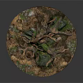 Detailed Dry Tree Model With Green Moss Covered Trunk And Circular Base 3d model