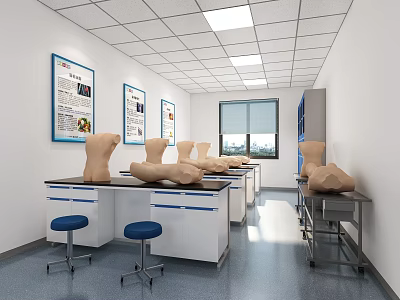 Medical Laboratory Interior With Anatomical Human Torso Models On Lab Tables Posters And Windows 3d model