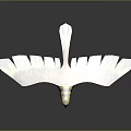 3D Realistic Bird Model With Spread Wings And Yellow Brown Feather Textures